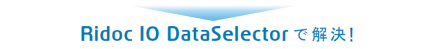 Ridoc IO DataSelectorで解決！