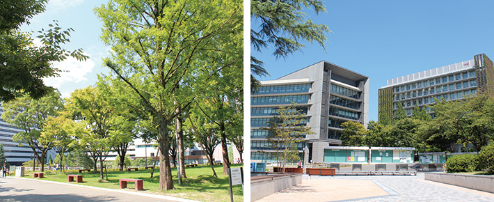 画像：福岡大学
