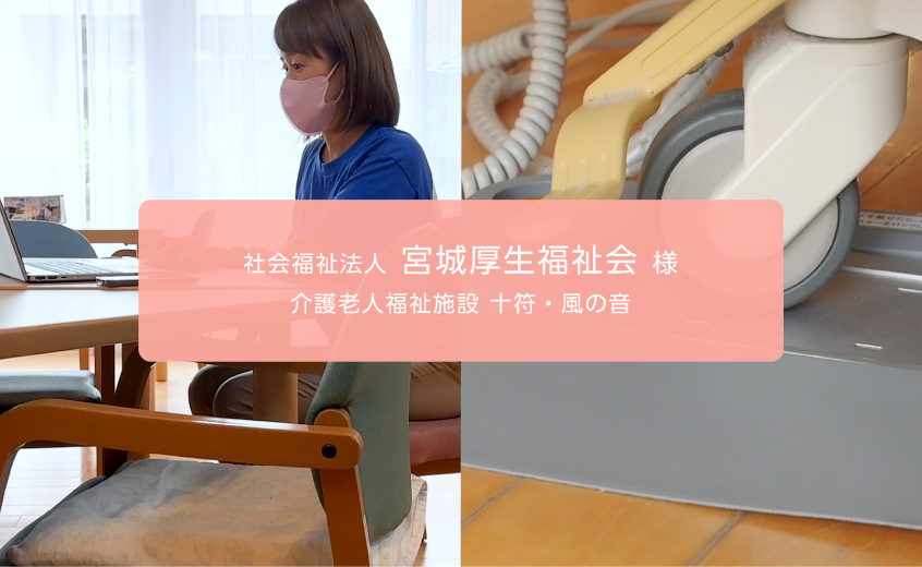 画像：概要と導入事例動画