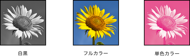 画像:白黒 フルカラー 単色カラー