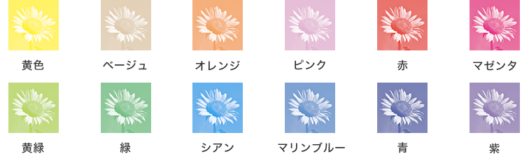 画像:単色カラー12色