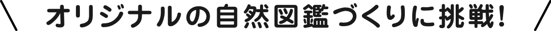 オリジナルの自然図鑑づくりに挑戦！
