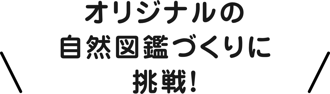 オリジナルの自然図鑑づくりに挑戦！
