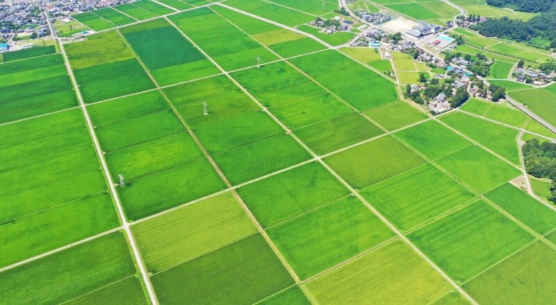画像：クラウド導入を機に総務・経理系ソフトを一新　毎月の“決算残業”の大幅削減が可能に