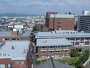 日本新薬株式会社