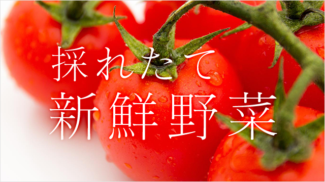 採れたて新鮮野菜と記載されたサイネージ