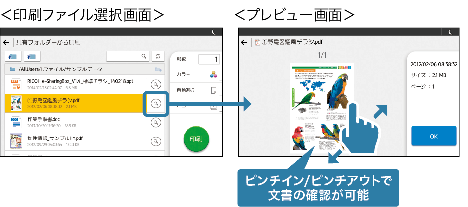 印刷ファイル選択画面のルーペアイコンをタップすると、プレビューが表示されます。ピンチイン/ピンチアウトで文書の確認が可能です。