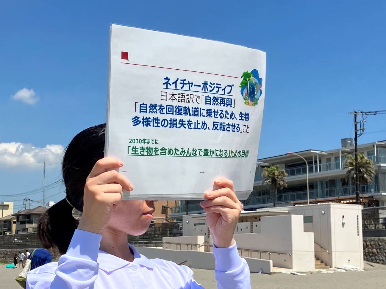 前述の内容を表した画像4
