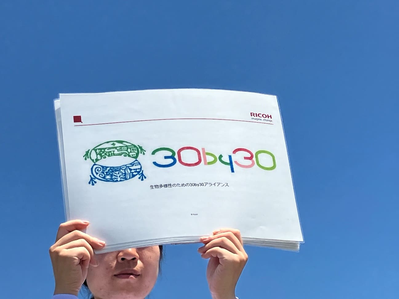 前述の内容を表した画像5