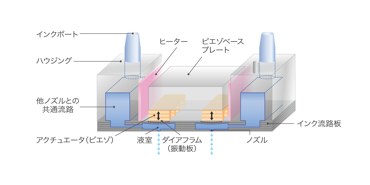 前述の内容を表したヘッドの構造図