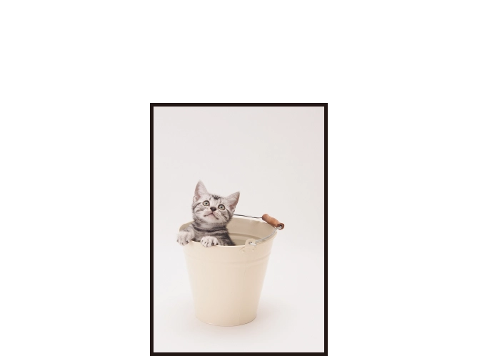 L判のサンプル画像