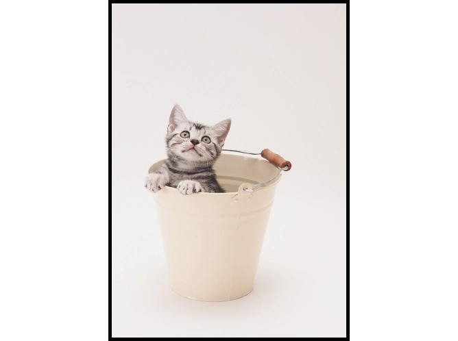 2L判のサンプル画像