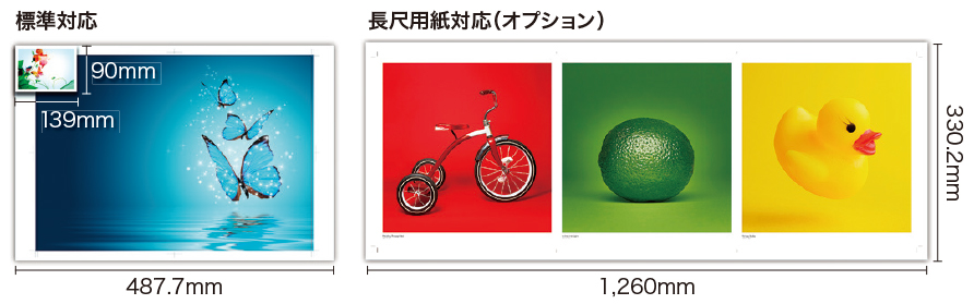前述の内容を表した図、標準対応サイズ、長尺用紙対応（オプション）サイズ