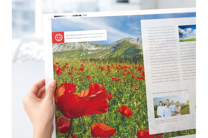 前述の内容を表した画像