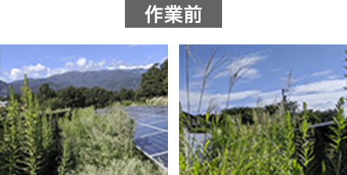 作業前の画像