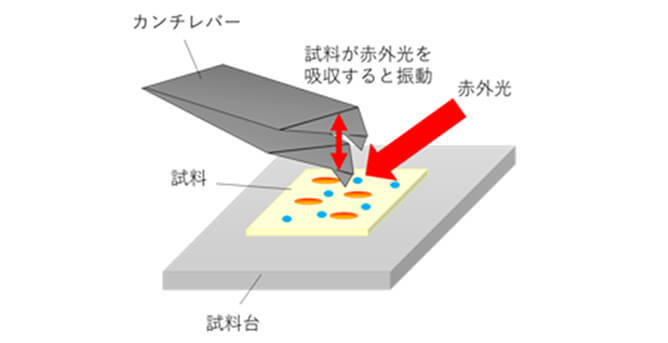 先端に探針がついたカンチレバーで試料の表面をなぞる図