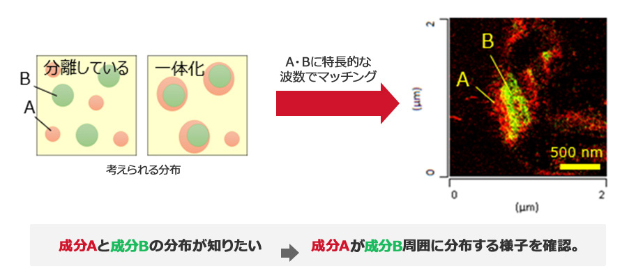成分Bの周囲に成分Aが分布する様子